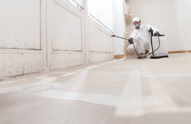 24/7 Emergency Mold Remediation experts in Westphalia, MI
